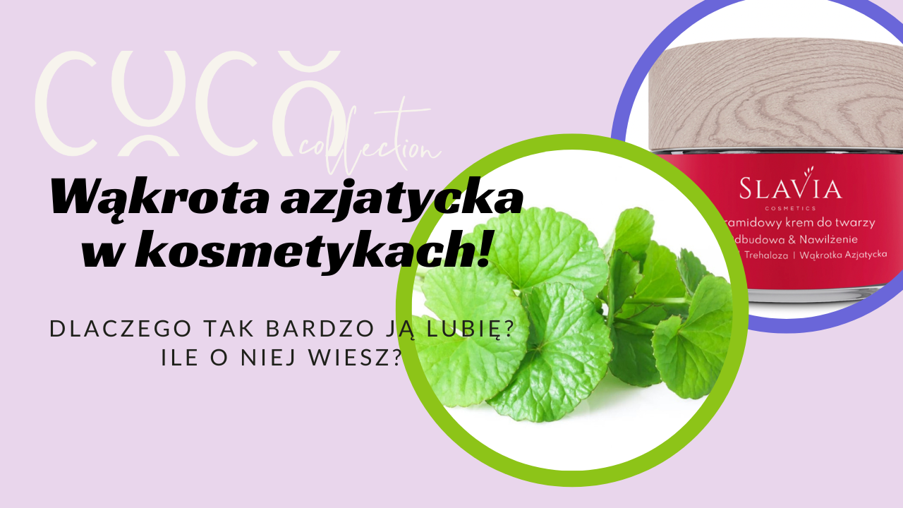 Wąkrota azjatycka - dlaczego tak ją lubię. COCO COLLECTION blog