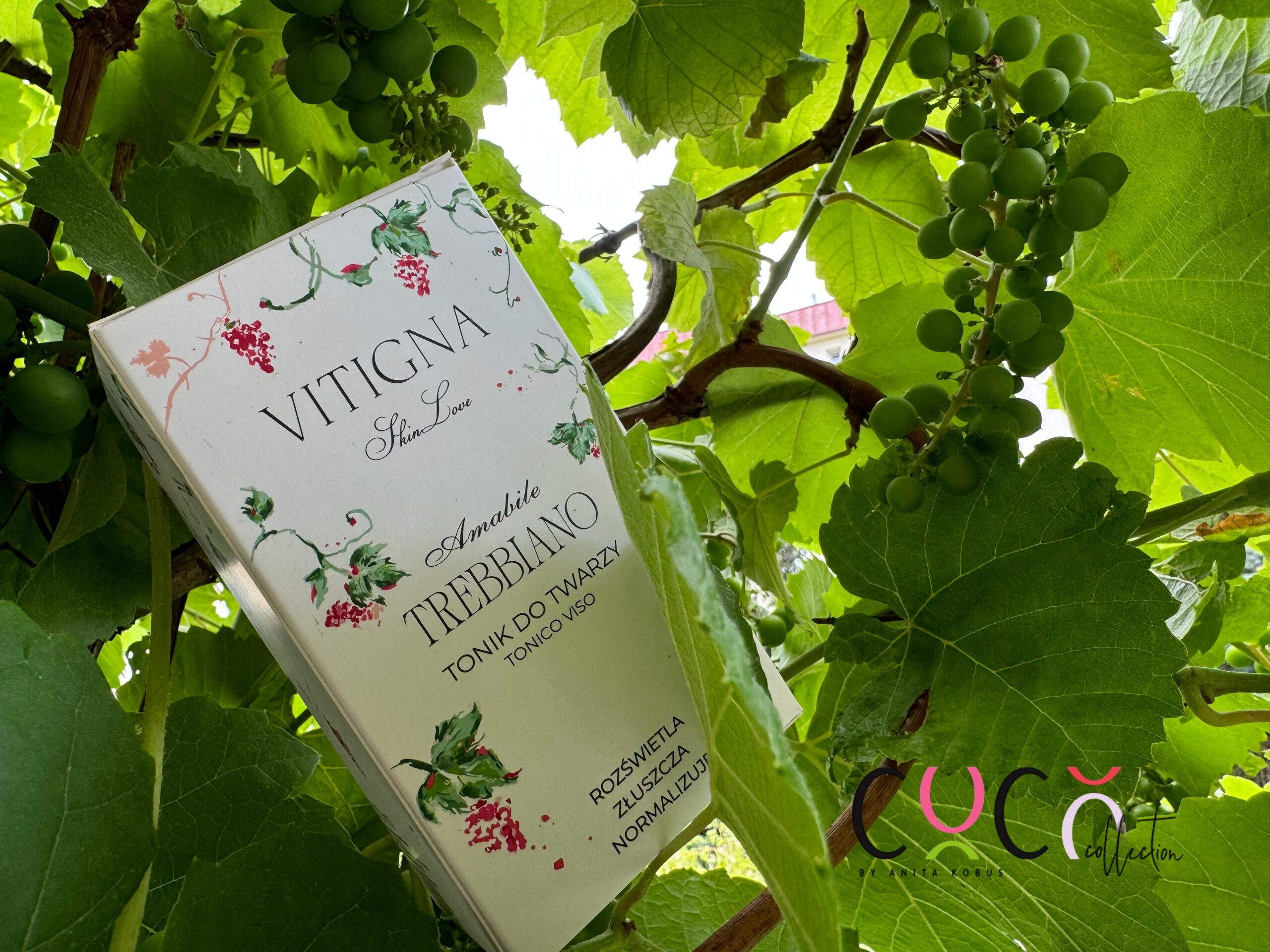 Vitigna Skin Love COCO COLLECTION blog